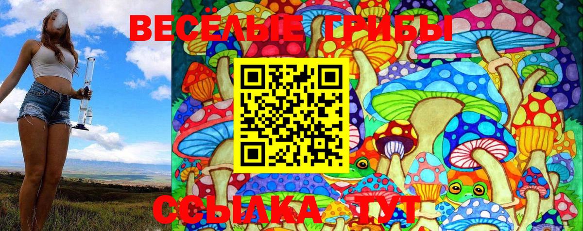 Еманжелинск  Галлюциногенные грибы Psilocybine cubensis  даркнет сайт  Вход с VPN 