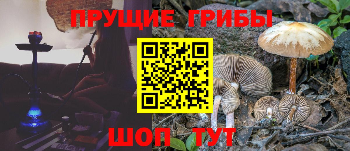 Галлюциногенные грибы MAGIC MUSHROOMS Еманжелинск